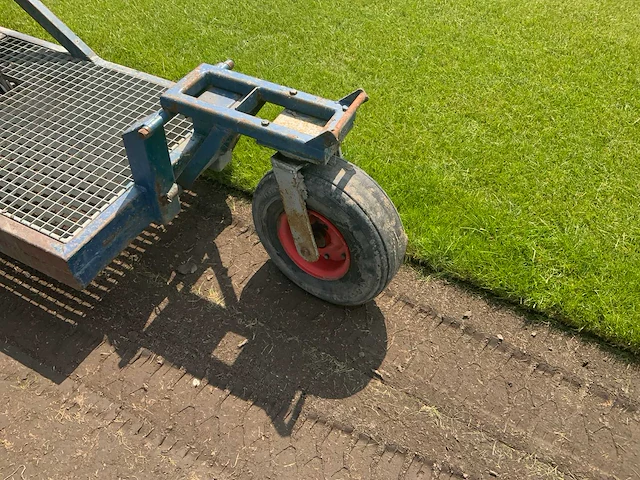 Brouwer graszodensnijder - afbeelding 10 van  45