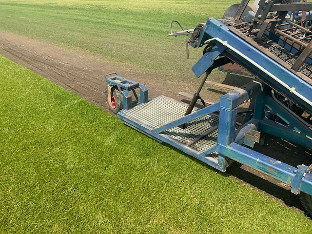 Brouwer graszodensnijder - afbeelding 30 van  45