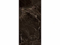 Bruine marmerlook tegel 23,04 m2 60x120 - afbeelding 2 van  3