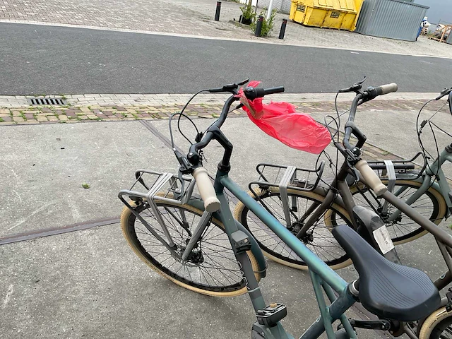 Bsp gaev elektrische fiets (3x) - afbeelding 19 van  28