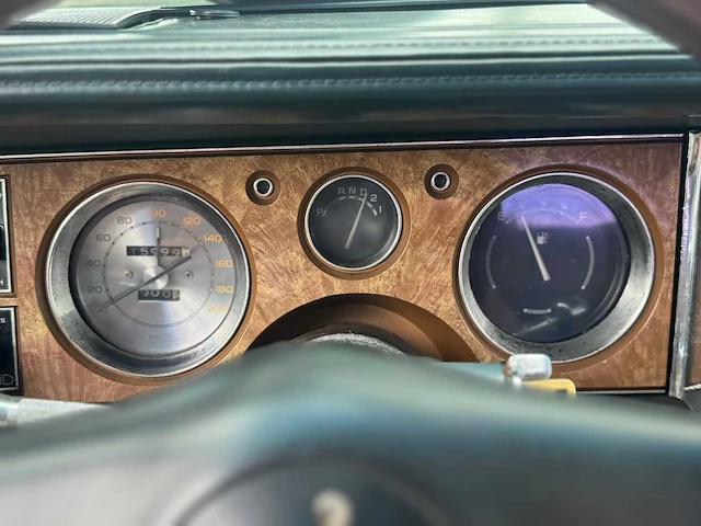 Buick electra park avenue 5.7 v8 1982 - afbeelding 9 van  17