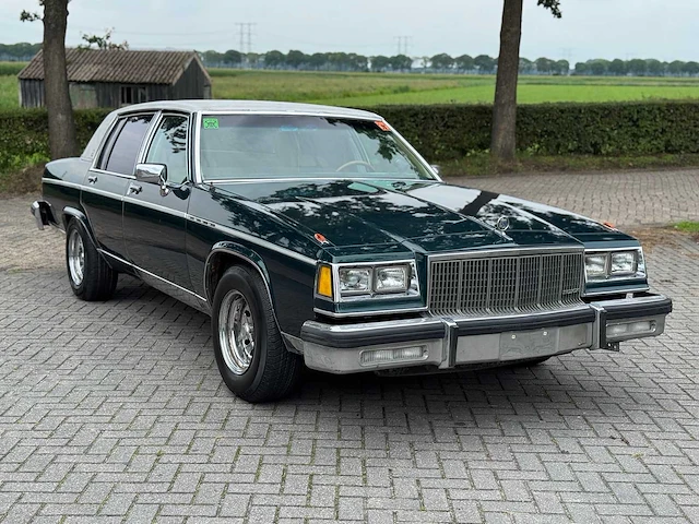 Buick electra park avenue 5.7 v8 1982 - afbeelding 15 van  17