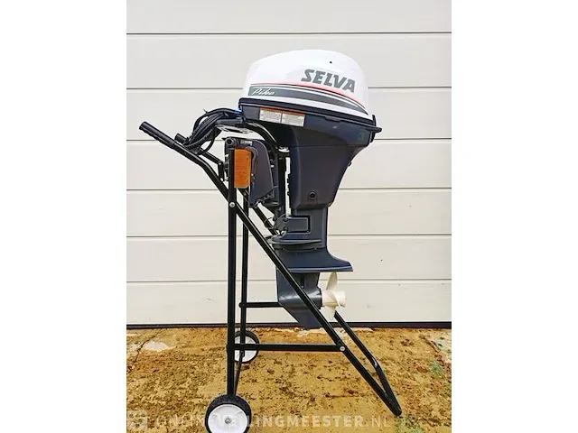 Buitenboordmotor selva, 9,9 pk 2 cilinder 4 takt, 2023 - afbeelding 1 van  7