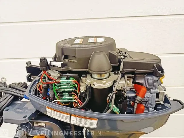 Buitenboordmotor selva, 9,9 pk 2 cilinder 4 takt, 2023 - afbeelding 6 van  7
