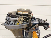 Buitenboordmotor selva, 9,9 pk 2 cilinder 4 takt, bouwjaar 2023 - afbeelding 7 van  7
