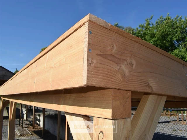 Buitenverblijf overkapping douglas 800x300cm hoogte 245cm - afbeelding 4 van  8