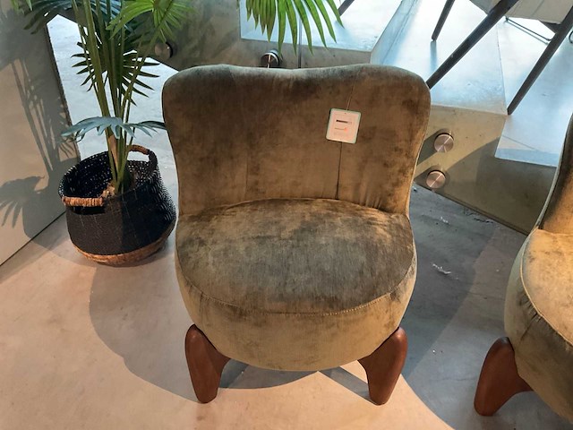 Busto fauteuil set van 2 - afbeelding 4 van  7