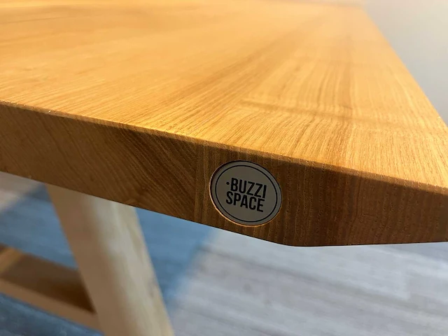 Buzzispace buzzipicnic - design workbench 240x160 - afbeelding 4 van  11