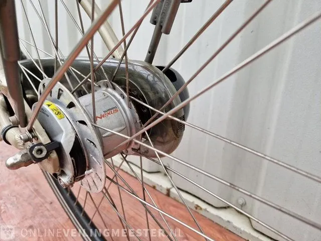 C3 e-motion e-bike/ elektrische fiets sparta, brons-zilver - afbeelding 2 van  10