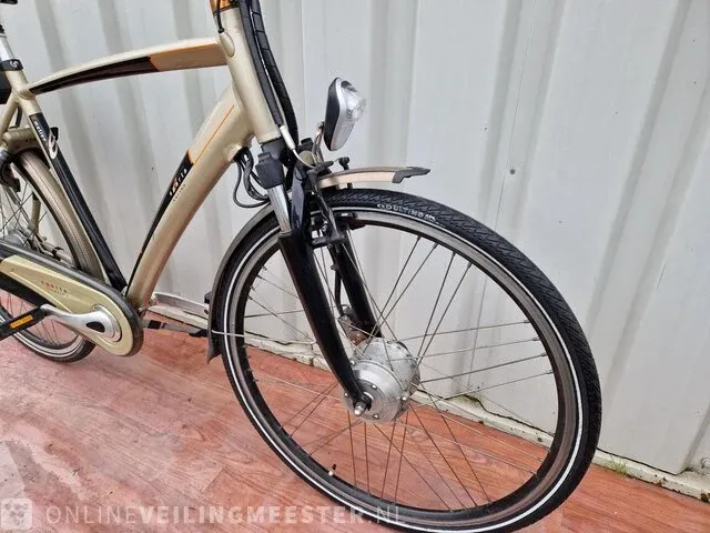 C3 e-motion e-bike/ elektrische fiets sparta, brons-zilver - afbeelding 3 van  10
