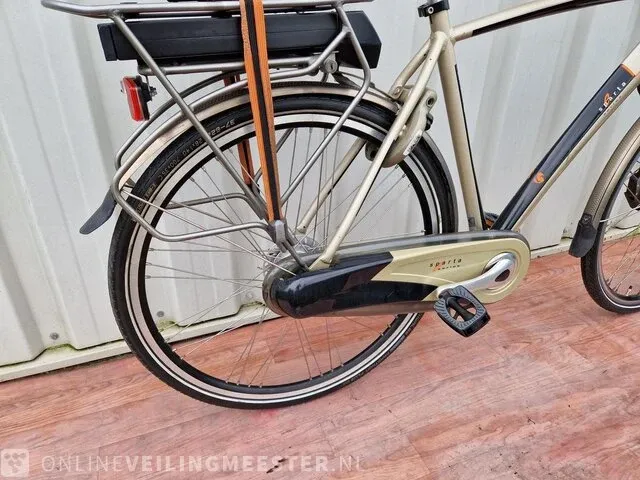 C3 e-motion e-bike/ elektrische fiets sparta, brons-zilver - afbeelding 6 van  10