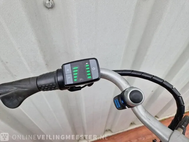 C3 e-motion e-bike/ elektrische fiets sparta, brons-zilver - afbeelding 7 van  10