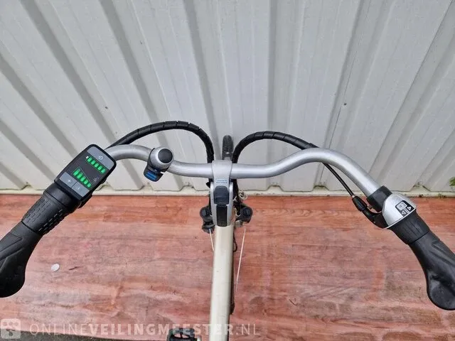 C3 e-motion e-bike/ elektrische fiets sparta, brons-zilver - afbeelding 8 van  10