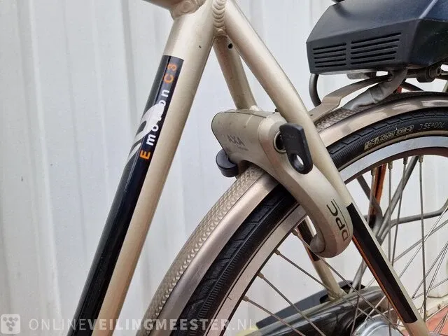 C3 e-motion e-bike/ elektrische fiets sparta, brons-zilver - afbeelding 9 van  10