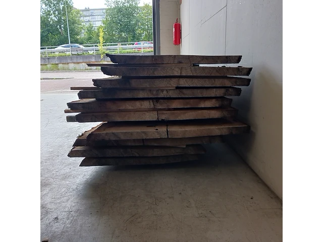 Ca. 10x eiken boomstamblad - afbeelding 4 van  10
