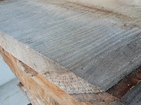 Ca. 10x eiken boomstamblad - afbeelding 6 van  10