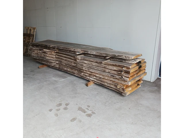 Ca. 10x eiken boomstamblad - afbeelding 1 van  9