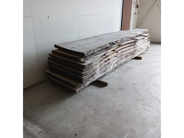 Ca. 10x eiken boomstamblad - afbeelding 2 van  9
