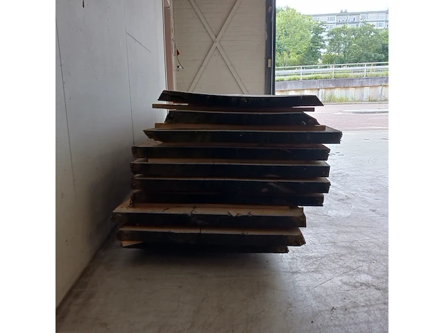 Ca. 10x eiken boomstamblad - afbeelding 3 van  9