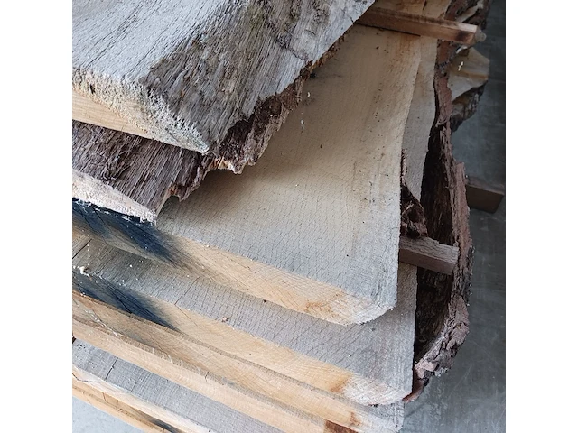Ca. 10x eiken boomstamblad - afbeelding 5 van  9