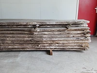 Ca. 10x eiken boomstamblad - afbeelding 9 van  9