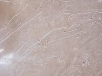 Ca. 10x pvc wandpaneel 280x122cm, sanderz, 2025 - afbeelding 2 van  3
