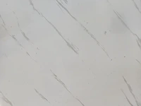 Ca. 10x pvc wandpaneel 280x122cm, sanderz, 2025 - afbeelding 2 van  3