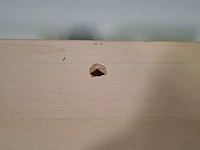 Ca. 11x bureau, o.a. ahrend - afbeelding 12 van  14