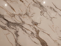 Ca. 11x pvc wandpaneel 122x280 cm, 2025 - afbeelding 2 van  3