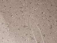 Ca. 11x pvc wandpaneel 122x280 cm, 2025 - afbeelding 2 van  2