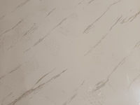 Ca. 11x pvc wandpaneel 122x280 cm, 2025 - afbeelding 2 van  2