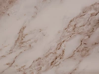 Ca. 11x pvc wandpaneel 280x122 cm, 2025 - afbeelding 2 van  5