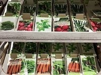Ca. 12x dozen kweekzaadjes - afbeelding 6 van  13