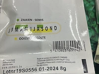 Ca. 12x dozen kweekzaadjes - afbeelding 11 van  13