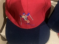 Ca. 144x petten, rood/donkerblauw - afbeelding 3 van  5