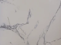 Ca. 14x pvc wandpaneel 280x122 cm, 2025 - afbeelding 2 van  3