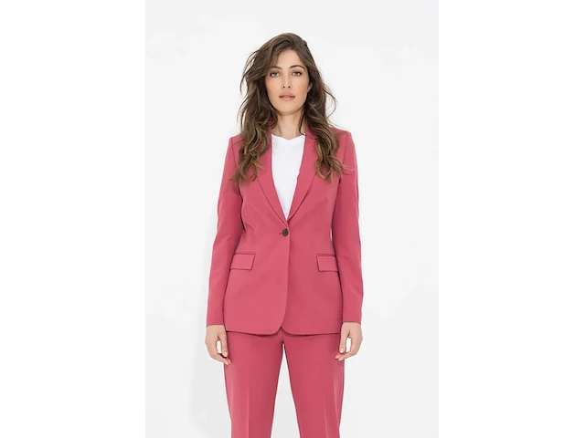 Ca. 25x broek en 22x colbert, suitss me, daily food, earth red - afbeelding 1 van  8