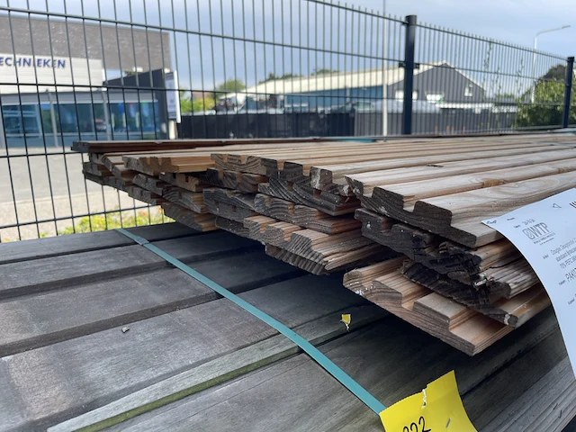 Ca. 28x douglas design/triple/deens profiel, 22x142mm, lengte 300cm - afbeelding 3 van  3