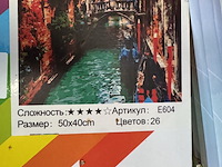 Ca. 30x diamond painting inclusief tools 40x50cm i-wannahave - afbeelding 3 van  7