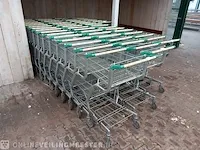 Ca. 34x winkelwagen - afbeelding 1 van  9