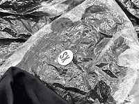 Ca. 53x paar handschoenen - afbeelding 4 van  7