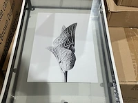 Ca. 60x fotolijsten - afbeelding 7 van  9