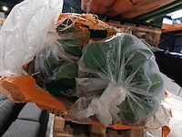 Ca. 80 meter ppr buis 32 mm ppr met alu inlaag defusi dicht ifan, 32, groen, 2023 - afbeelding 10 van  11