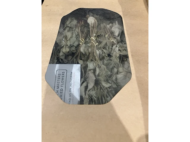 Ca. 93x dozen gedroogde bloemen, dutch masters - afbeelding 3 van  9