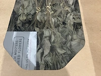 Ca. 93x dozen gedroogde bloemen, dutch masters - afbeelding 3 van  9