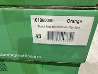Ca. 93x dozen gedroogde bloemen, dutch masters - afbeelding 7 van  9