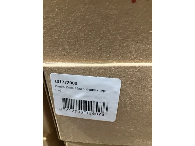 Ca. 93x dozen gedroogde bloemen, dutch masters - afbeelding 9 van  9