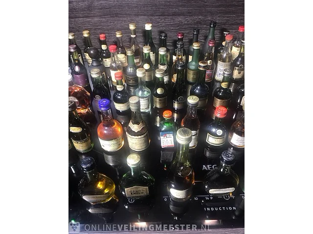 Ca.78x mini flesjes cognac diverse merken - afbeelding 5 van  11