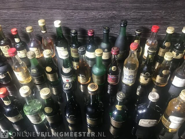 Ca.78x mini flesjes cognac diverse merken - afbeelding 9 van  11