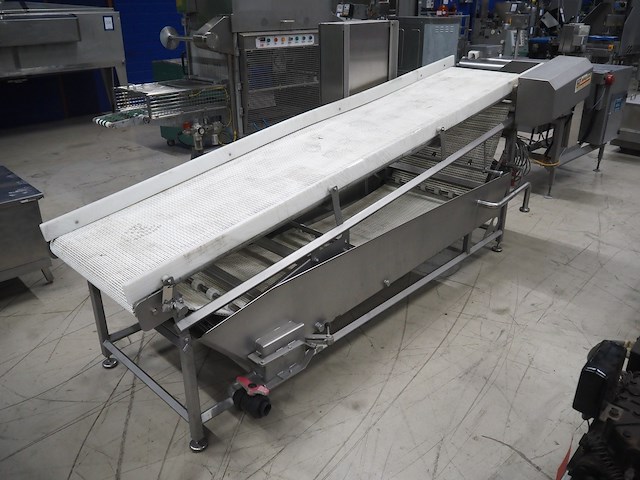 Cabinplant - afbeelding 4 van  9